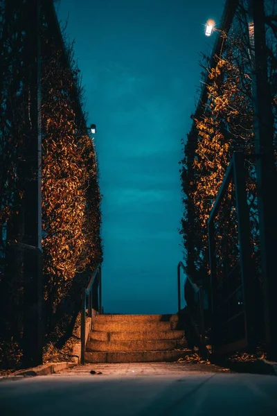 Tiro Vertical Uma Entrada Parque Com Cercas Metálicas Uma Escada — Fotografia de Stock