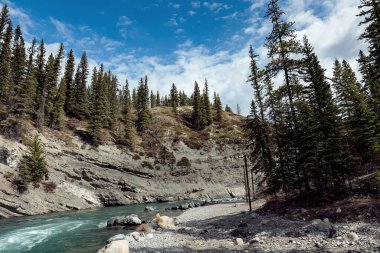 Güneşli bir günde dağ nehrinin manzarası.