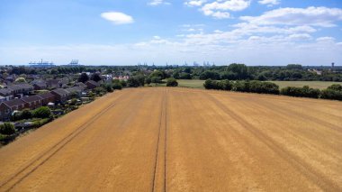 Mavi gökyüzü arka planında kırsal bir alandaki tarımsal arazilerin manzarası