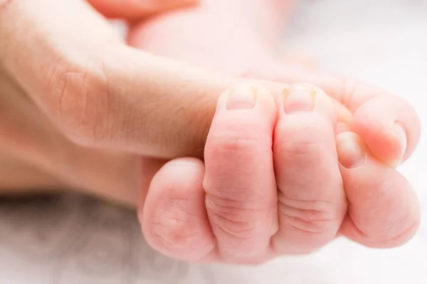 Närbild Den Nyföddas Fingrar Som Håller Föräldrarnas Finger — Stockfoto