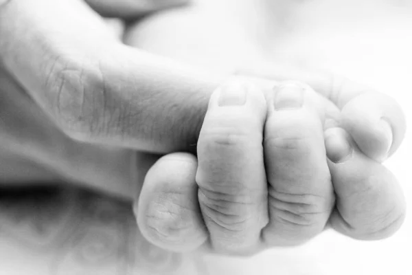 Fecho Tons Cinza Dos Dedos Recém Nascido Segurando Dedos Dos — Fotografia de Stock
