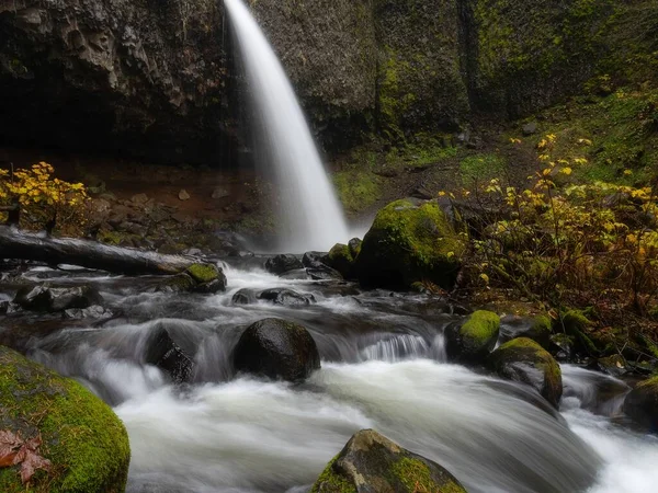Uma Vista Paisagem Upper Latourell Falls Parque Oregon Rochas Musgo — Fotografia de Stock