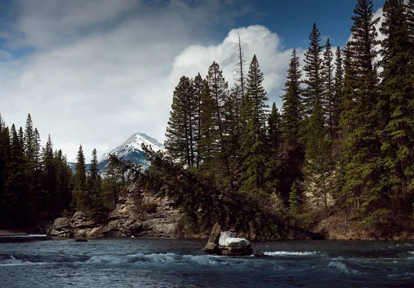Мальовничий Вид Гірську Річку Лісі — стокове фото