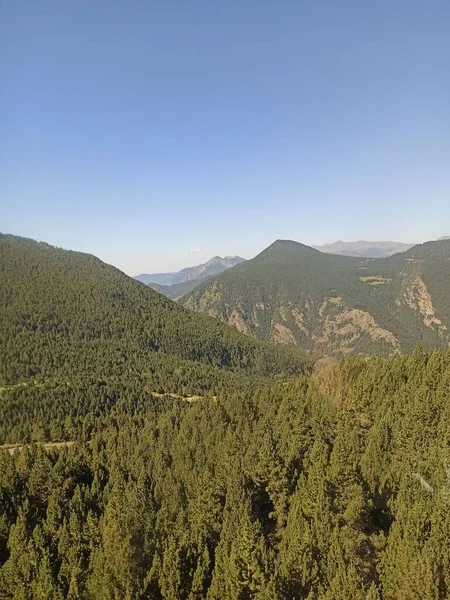 Pionowe Ujęcie Gór Pokryte Wiecznie Zielonymi Drzewami Przeciw Błękitnemu Niebu — Zdjęcie stockowe