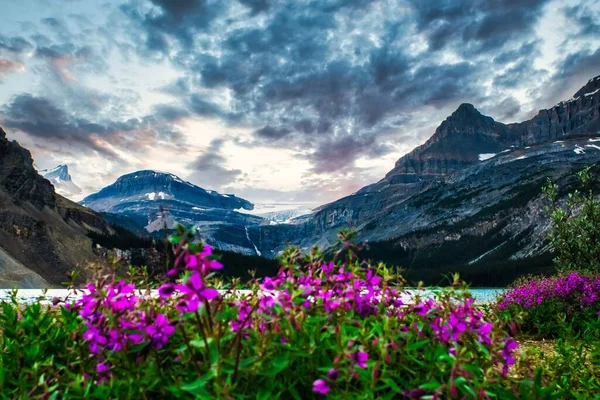 Krásný Záběr Bow Lake Obklopen Horami Kanadě — Stock fotografie