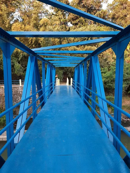 Vista Vertical Através Uma Ponte Azul Para Pedestres Bicicletas Sobre — Fotografia de Stock
