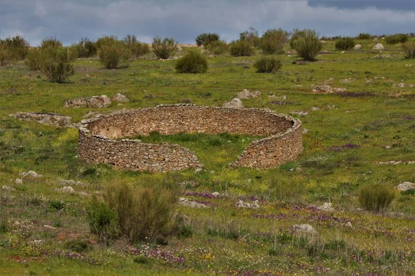 Μια Όμορφη Φωτογραφία Από Ένα Στρογγυλό Μαντρί — Φωτογραφία Αρχείου