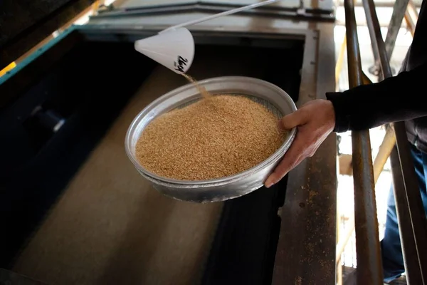 Closeup Shot Male Using Funnel Ladle Scooping Bread Crumbs Metal — Stock Photo, Image