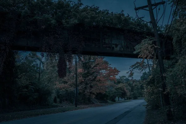 Prázdná Ulice Podzimními Stromy Pod Zrezivělým Mostem Pískovci Trávou Večerních — Stock fotografie