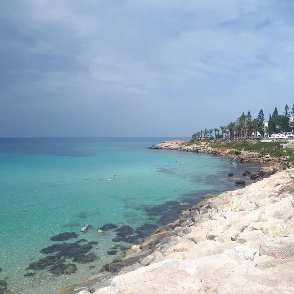 Costa Paphos Com Águas Azuis Cristalinas Rochas Árvores Com Uma — Fotografia de Stock