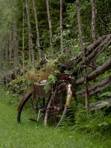 Vista Verticale Una Vecchia Bicicletta Arrugginita Sull Erba Vicino Agli — Foto Stock