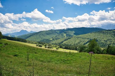 Avusturya, Salzkammergut Attersee-Traunsee Parkı 'nın güzel doğası
