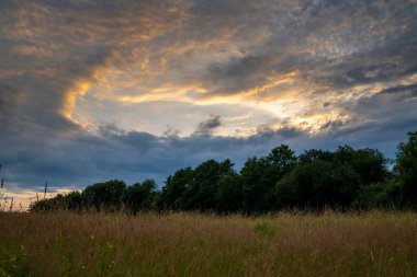 Dağların ve ağaçların üzerinde güzel bir günbatımı akşamı