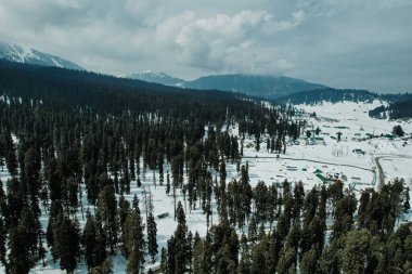 Soğuk bir kışta yoğun ormanları olan tepelerin ve dağların güzel manzarası.