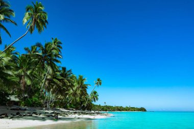 Güneşli bir günde güzel bir sahil.