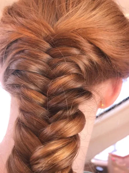 Vertical Shot Rear View Girl Fishtail Braid — Stock Photo, Image