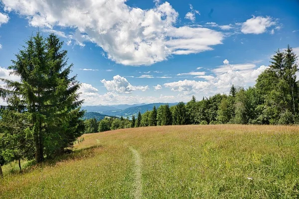 Belle Nature Parc Attersee Traunsee Dans Salzkammergut Autriche — Photo