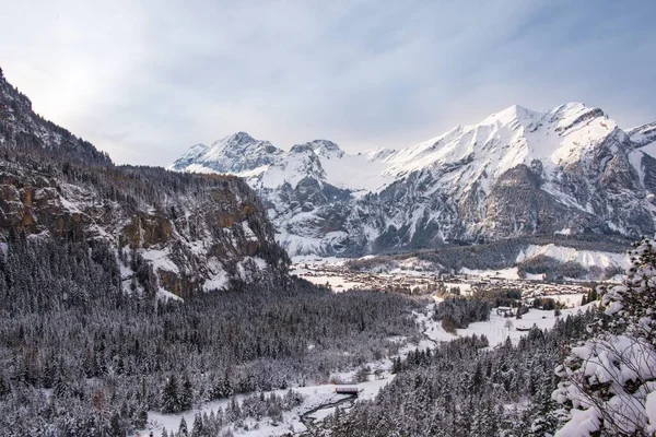 Una Vista Panorámica Las Montañas Cubiertas Nieve Con Bosque Fondo — Foto de Stock