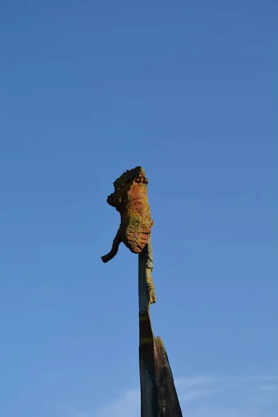 Eine Vertikale Aufnahme Der Skulptur Eines Frosches Blauen Klaren Himmel — Stockfoto