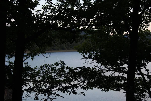 Vista Del Lago Entre Las Ramas Los Árboles Fondo Naturaleza — Foto de Stock