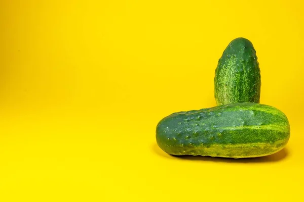 Two Green Ripe Cucumbers Stacked Top Each Other Cucumbers Yellow — Stock Photo, Image