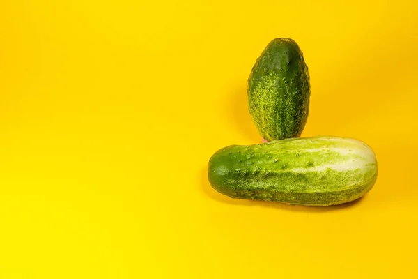 Twee Groene Rijpe Komkommers Elkaar Gestapeld Komkommers Een Gele Achtergrond — Stockfoto