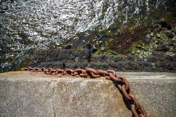 Closeup Aberaeron Harbor Wall Mooring Chain Hanging Water Seaweed — Stock Photo, Image