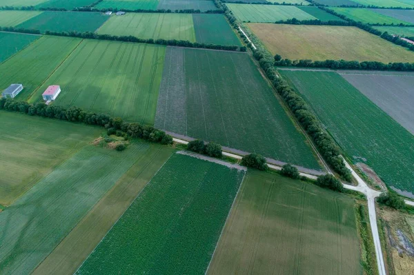 farklı mısır gevreği ve patates ekinlerinin havadan görünüşü, tarım kavramı