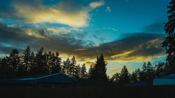 Een Heerlijke Zonsondergang Avond Boven Bergen Bomen — Stockfoto