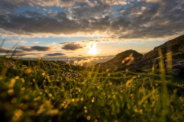 Una Vista Panoramica Dell Alba Sul Prato — Foto Stock