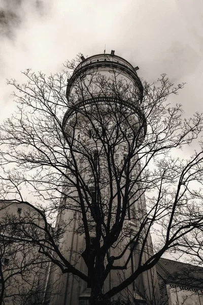 Szary Strzał Wieży Martwym Drzewem Pod Chmurnym Niebem — Zdjęcie stockowe