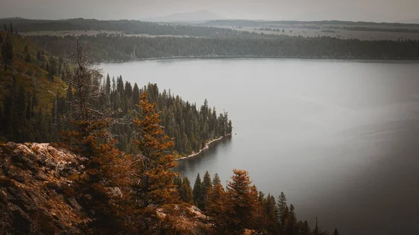 Uno Scatto Aereo Lago Una Foresta Durante Una Giornata Nebbiosa — Foto Stock
