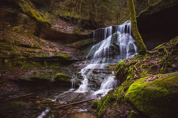 Une Petite Cascade Qui Coule Sur Les Rochers Forêt — Photo