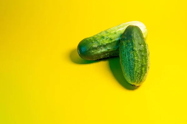 Dvě Zralý Zelený Okurky Naskládaný Sebe Okurky Žlutém Pozadí — Stock fotografie