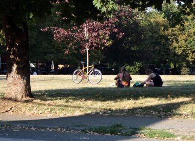 Doğu Vancouver, British Columbia, Kanada 'da çimlerin üzerinde iki kişilik bir park.