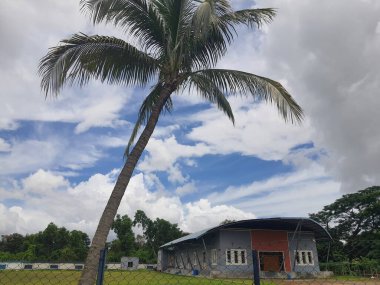 Önünde palmiye ağacı olan tel örgülerin arkasında büyük bir kulübe.