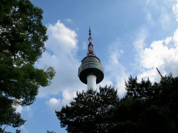 Låg Vinkel Över Namsan Tower Seoul Med Träd Framför Och — Stockfoto