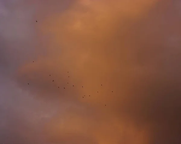 Gün Batımında Bulutlu Bir Gökyüzü — Stok fotoğraf