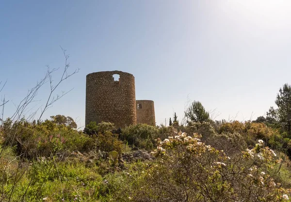 Μια Όμορφη Θέα Από Λουλούδια Του Molins Plana Στην Ισπανία — Φωτογραφία Αρχείου