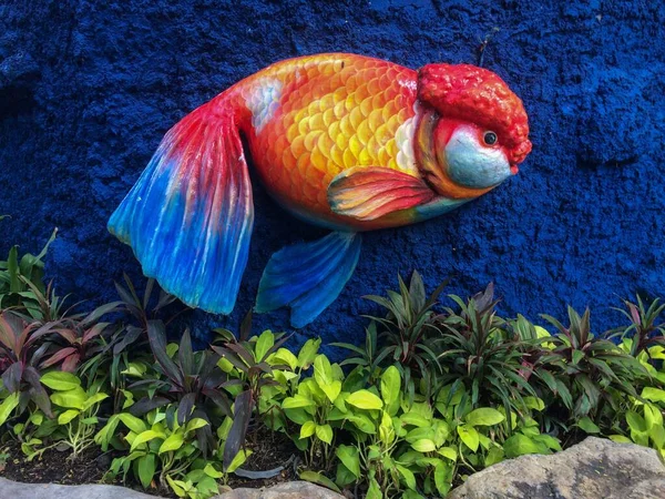 Closeup Shot Colorful Goldfish Statue Blue Wall Little Plants Foreground — Stock Photo, Image