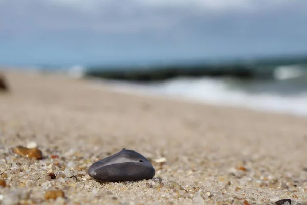 Een Dichtbij Shot Van Een Kiezelsteen Het Strand — Stockfoto