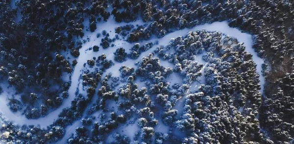 Uma Vista Aérea Superior Uma Floresta Pinheiros Congelados — Fotografia de Stock