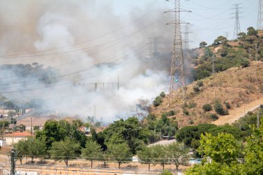 Barselona, İspanya 'da otoyol yakınında yangın