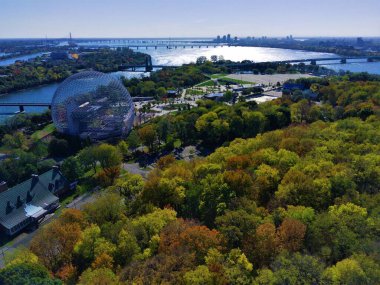 Yazın su kenarında güzel bir ormanın havadan görünüşü.