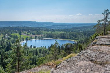 Ormanla çevrili bir gölün üzerindeki kayalık bir arazide duran güzel bir ağaç görüntüsü.