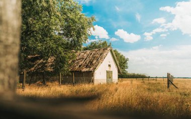 Güneşli bir günde yeşil ağaçlarla çevrili çitlere yaslanmış güzel bir ahır görüntüsü.