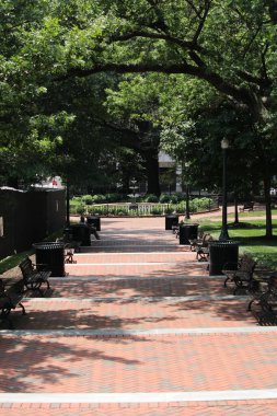 Birleşik Devletler Virginia parkındaki bankların ve ağaçların oluşturduğu bir patikanın dikey çekimi.