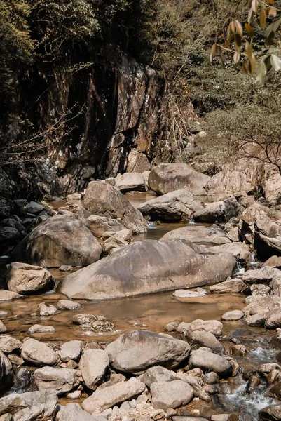 Güneşli Bir Günde Ormanda Kayalık Sığ Bir Nehir — Stok fotoğraf