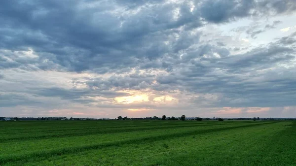 青空の緑の牧草地のパノラマビュー — ストック写真