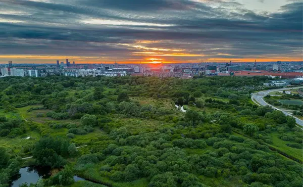 Een Luchtfoto Van Een Prachtig Bos Bij Zonsondergang Kopenhagen Denemarken — Stockfoto